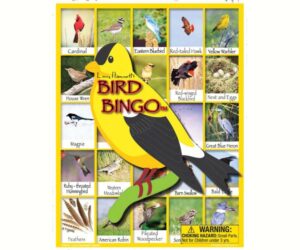 Bird Related Games