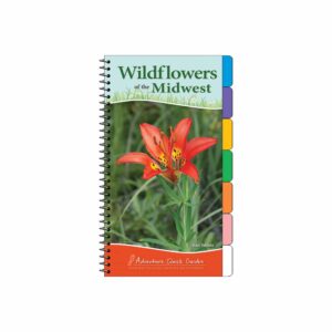 Flower & Garden Guides